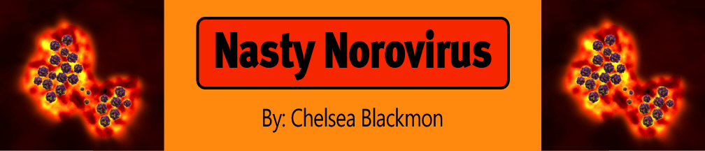 Questions and Answers about the Norovirus