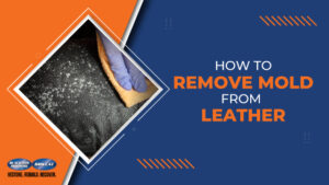 How to Remove Mold From Leather