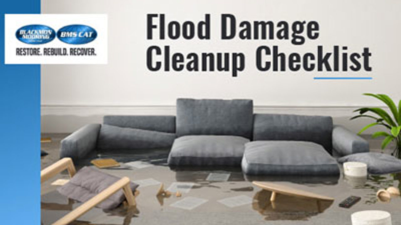 Professional Water Damage Cleanup