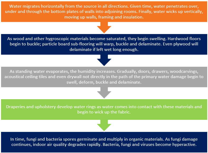 Stages of Water Damage