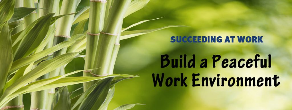 Build a peaceful work environment