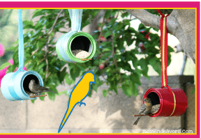 DIY Bird Feeders