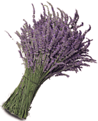 Use herbs like lavender to spruce up your home