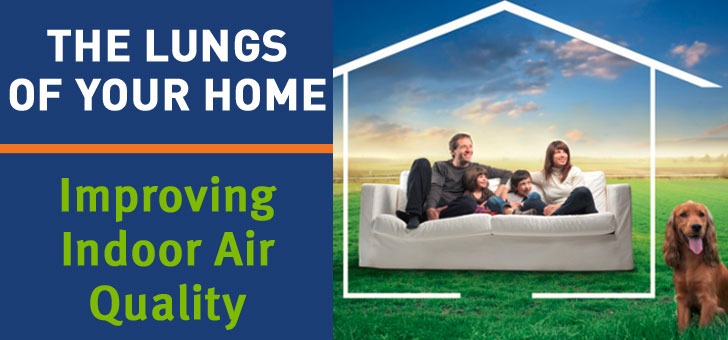 Ways to improve the indoor air quality of your home