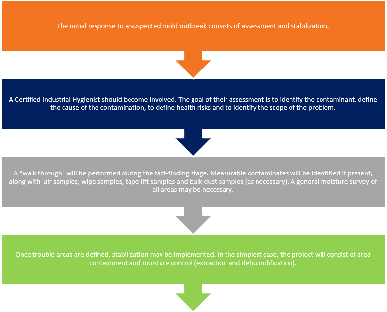 Mold Remediation Part 1