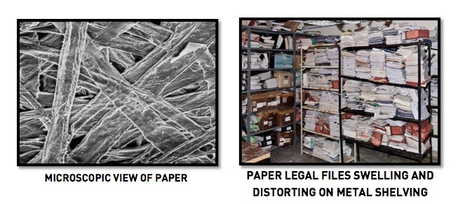 Microscopic View of Paper