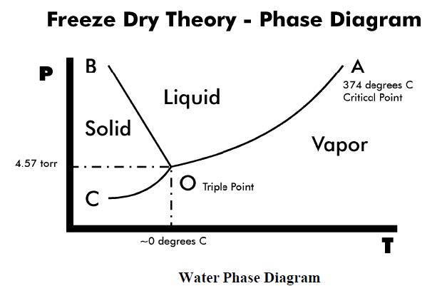 Freeze Dry Theory