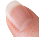 fingernail