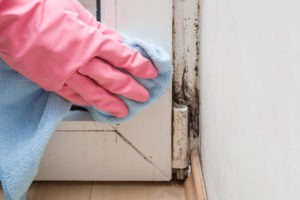 tips to prevent mold growth