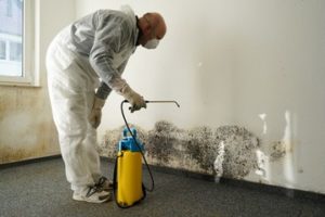how to prevent mold in house