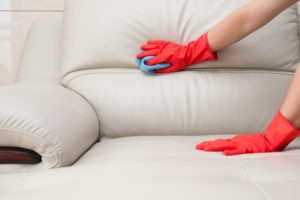 How To Remove Mold From Leather Bms Cat, How To Clean Mold Off Of Fabric Furniture