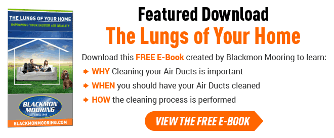 The Lungs of Your Home