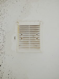 Prevent Mold in Air Ducts