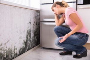 most common places to find mold