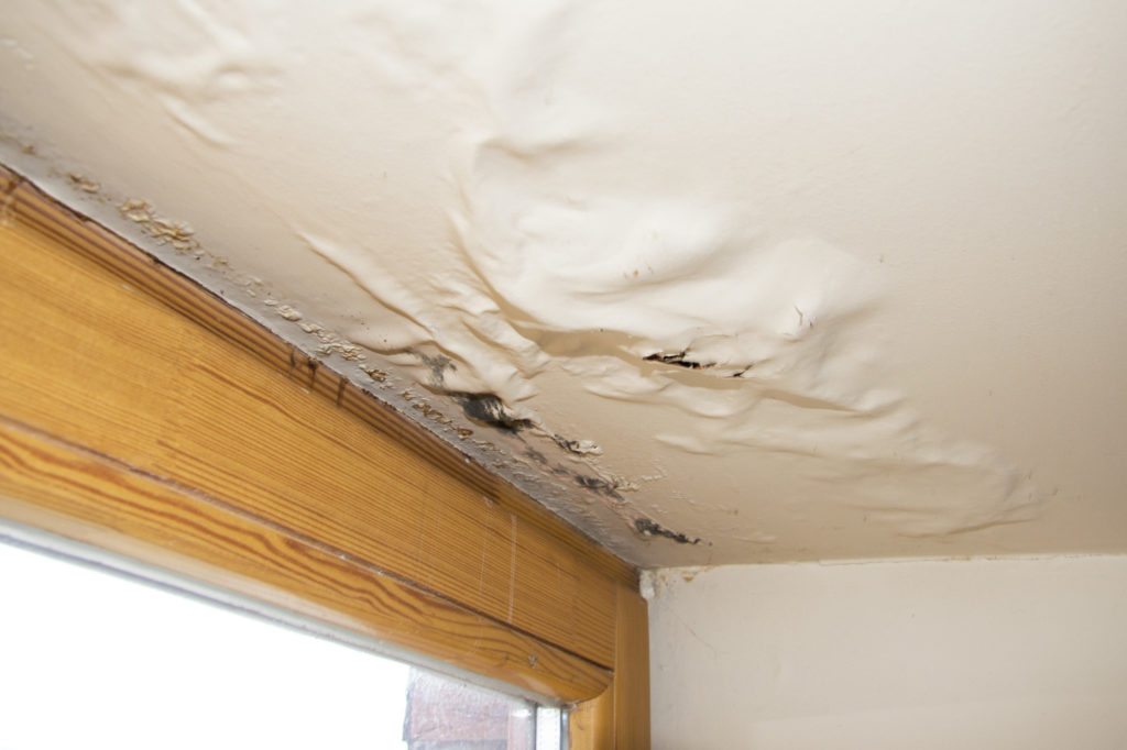 Water Damage Repair