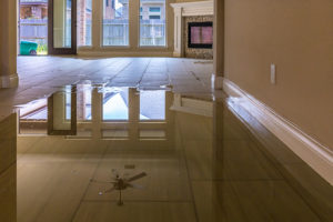 Water Damage Services