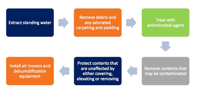 basic emergency services steps