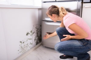 remove mold in homes