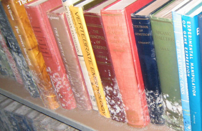 textbooks1 textbooks