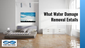 What Water Damage Removal Entails