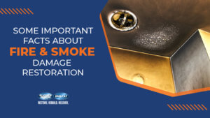 Important Facts About Fire & Smoke Damage Restoration