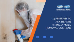 Questions to Ask Before Hiring a Mold Removal Company