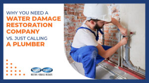 Why You Need a Water Damage Restoration Company Vs. Just Calling a Plumber