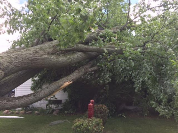 storm damage in Detroit