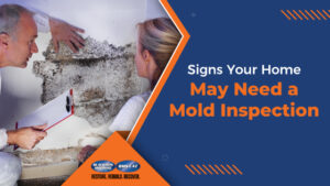Signs Your Home May Need a Mold Inspection