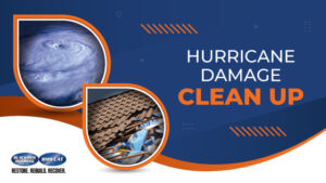 Hurricane Damage Clean Up